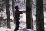 Maple Sugaring 30-20-08638