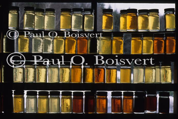 Maple Sugaring 30-20-08806