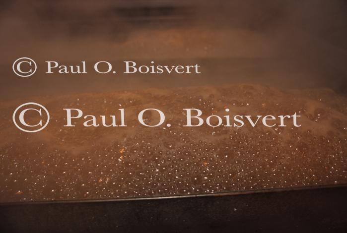 Maple Sugaring 30-20-08814