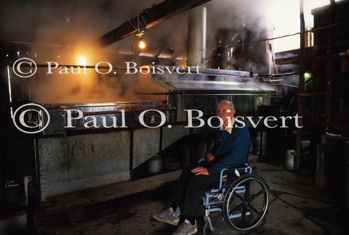 Maple Sugaring 30-20-08849