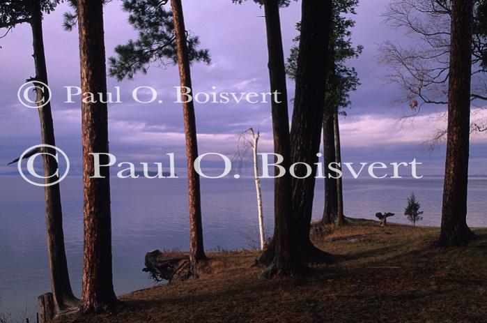 Scenery-Spring 70-10-01231