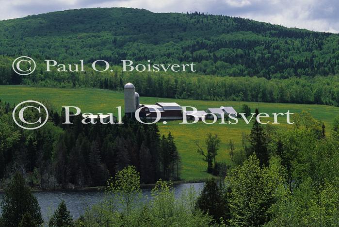 Scenery-Spring 70-10-01448