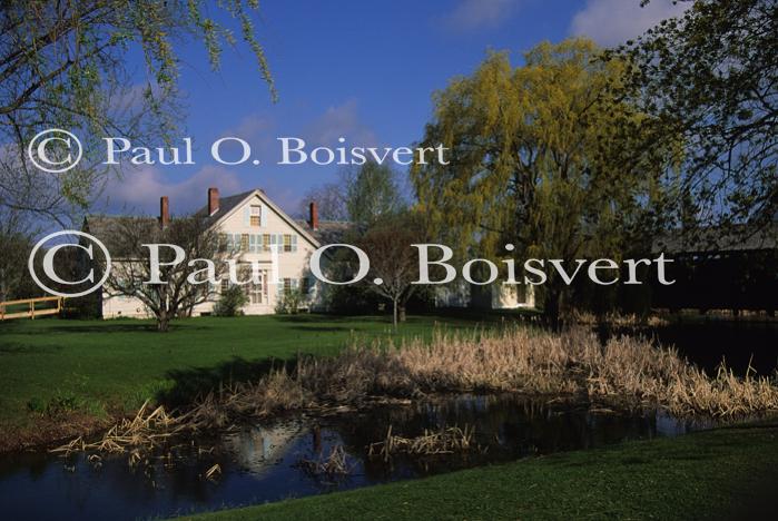 Scenery-Spring 70-10-01654