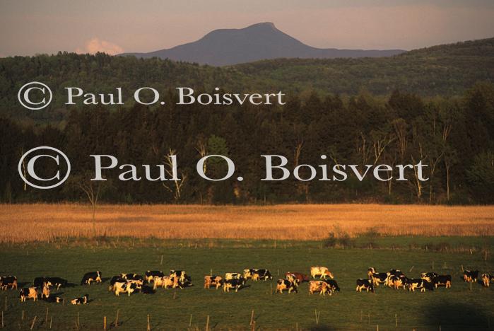 Scenery-Spring 70-10-02024