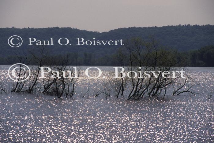 Scenery-Spring 70-10-02223