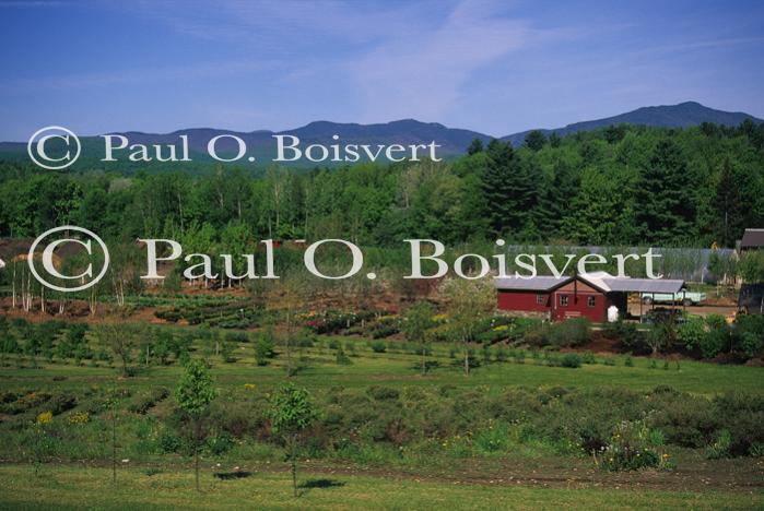 Scenery-Spring 70-10-02586