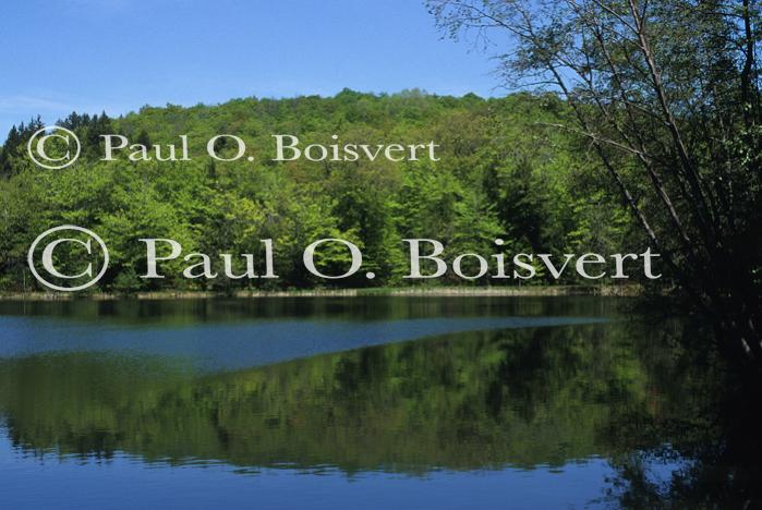 Scenery-Spring 70-10-02672