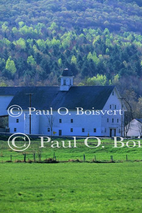 Scenery-Spring 70-10-02727