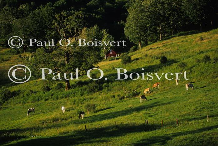 Scenery-Summer 70-20-02168