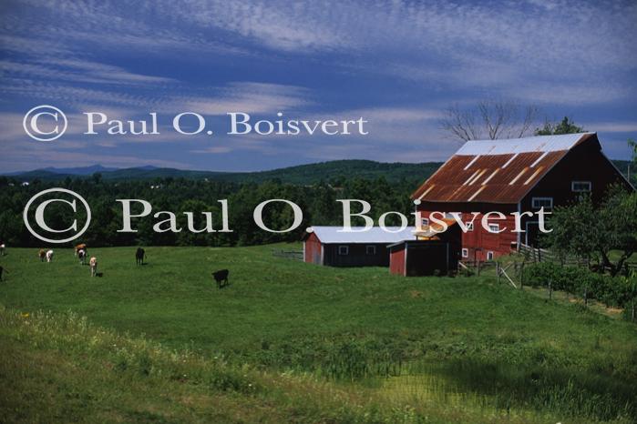 Scenery-Summer 70-20-00812