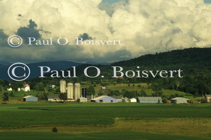 Scenery-Summer 70-20-01056