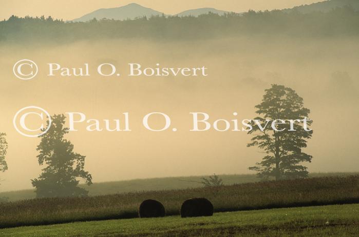 Scenery-Summer 70-20-01332