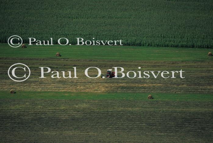 Scenery-Summer 70-20-01725