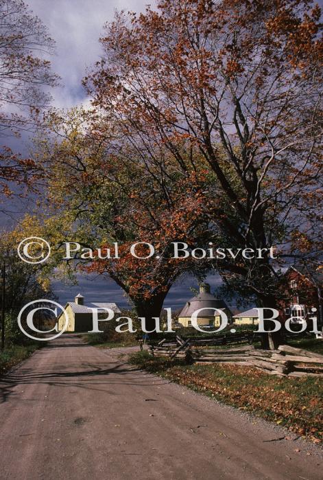 Scenery-Fall 70-05-00077