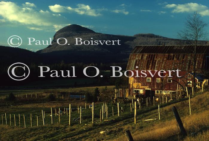 Scenery-Fall 70-05-00597