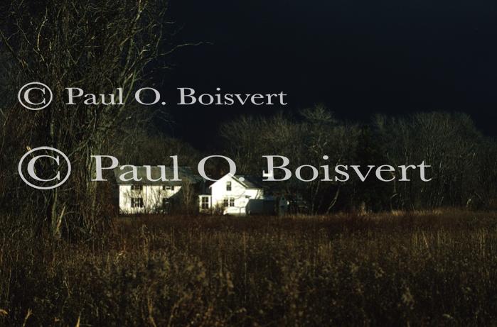 Scenery-Fall 70-05-01522