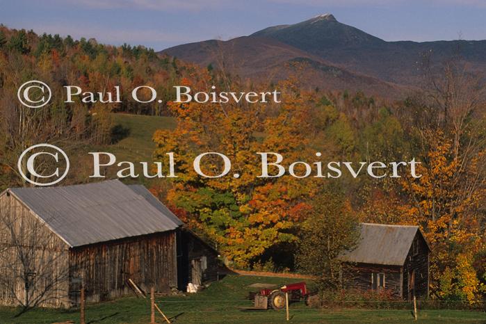 Scenery-Fall 70-05-03534