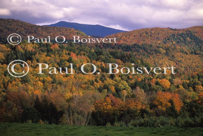 Scenery-Fall 70-05-03975