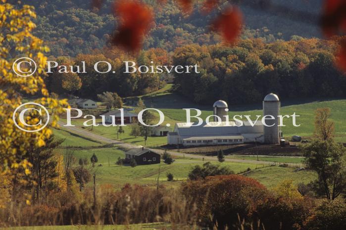 Scenery-Fall 70-05-04731