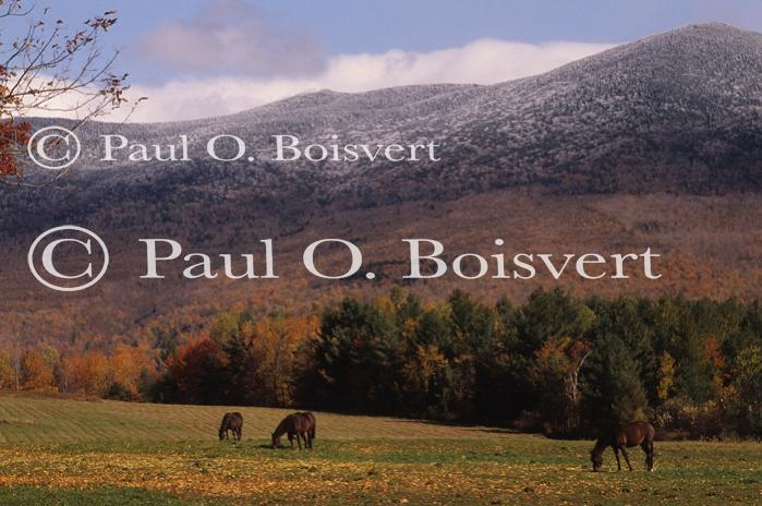 Scenery-Fall 70-05-04924