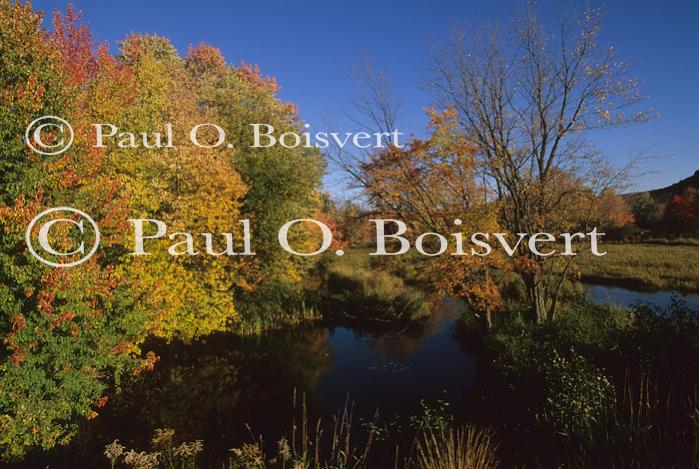 Scenery-Fall 70-05-07833