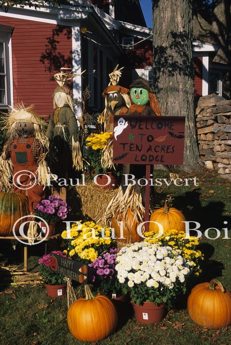 Scenery-Fall 70-05-08057