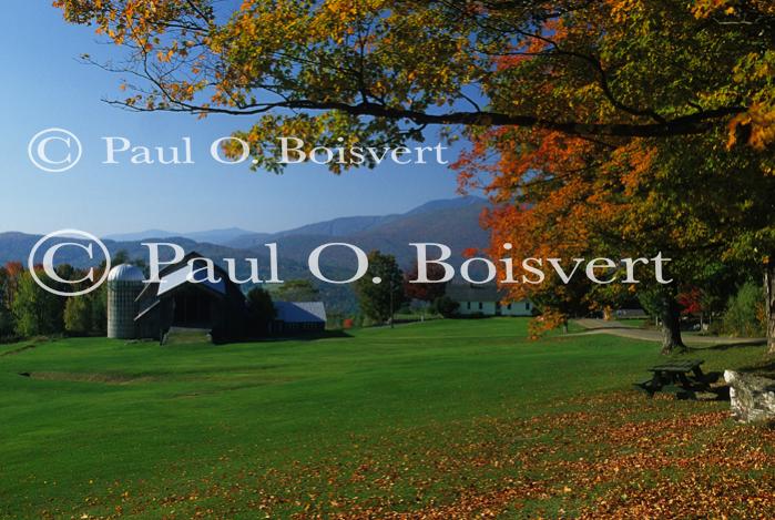 Scenery-Fall 70-05-10273