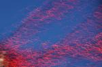 Art-Photo 85-10-00658