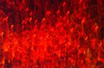 Art-Photo 85-10-00662