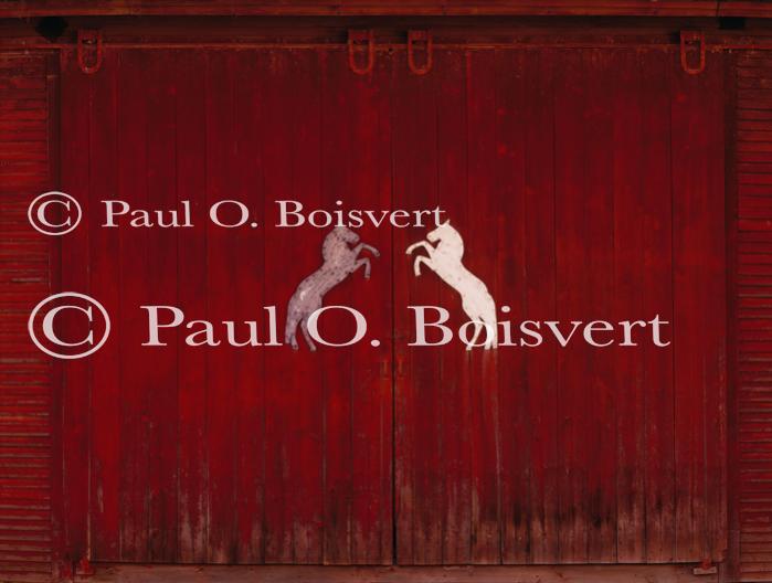 Architectural-Summer 10-20-02637