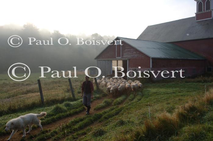 Cheese-Making 30-08-00969