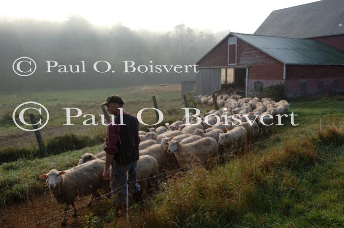 Cheese-Making 30-08-00970