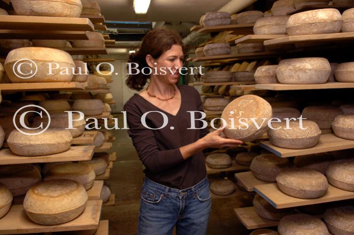 Cheese-Making 30-08-00981