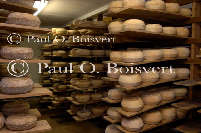 Cheese-Making 30-08-00985