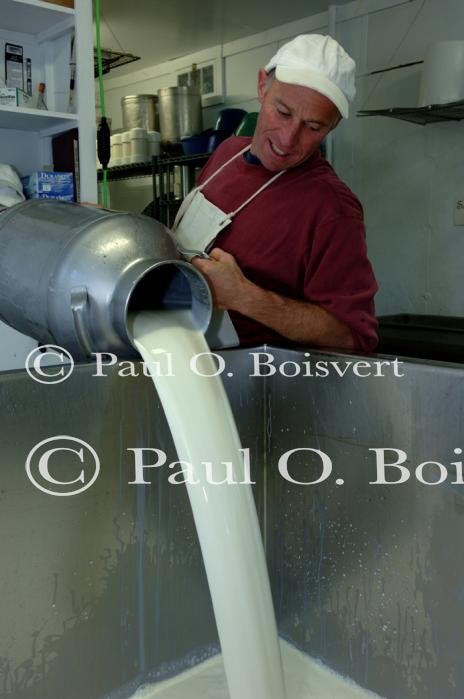 Cheese-Making 30-08-00998