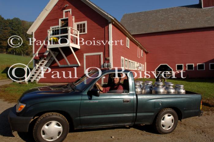 Cheese-Making 30-08-01004