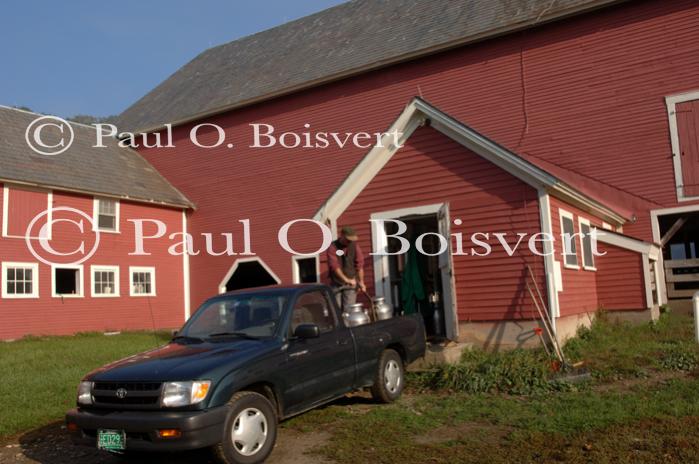 Cheese-Making 30-08-01010