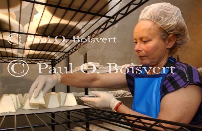 Cheese Making 30-08-01040