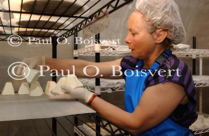 Cheese Making 30-08-01041