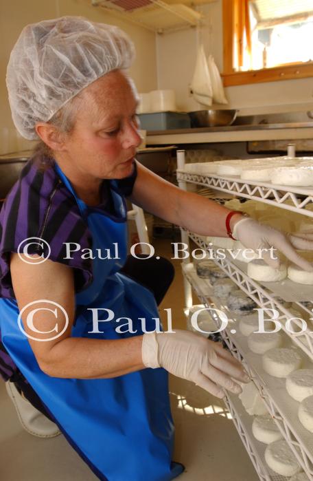 Cheese Making 30-08-01047