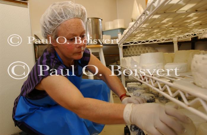 Cheese Making 30-08-01048