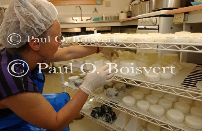 Cheese Making 30-08-01049