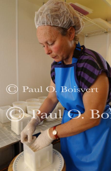 Cheese Making 30-08-01050