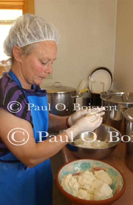 Cheese Making 30-08-01051
