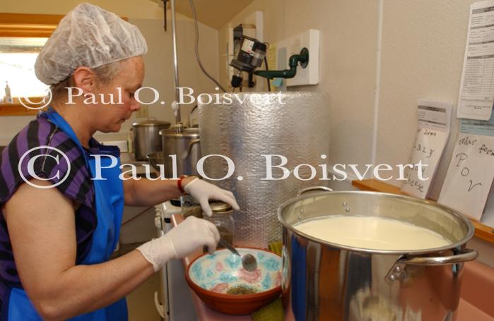 Cheese Making 30-08-01052