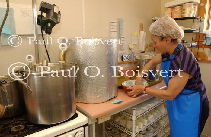 Cheese Making 30-08-01053