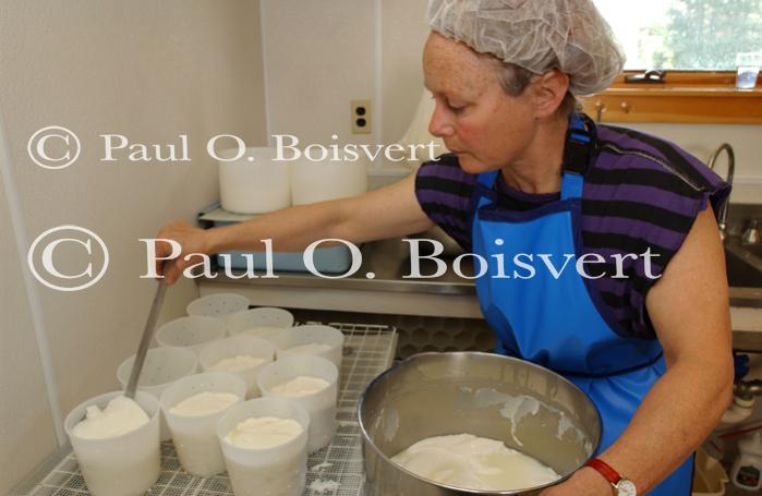 Cheese Making 30-08-01055