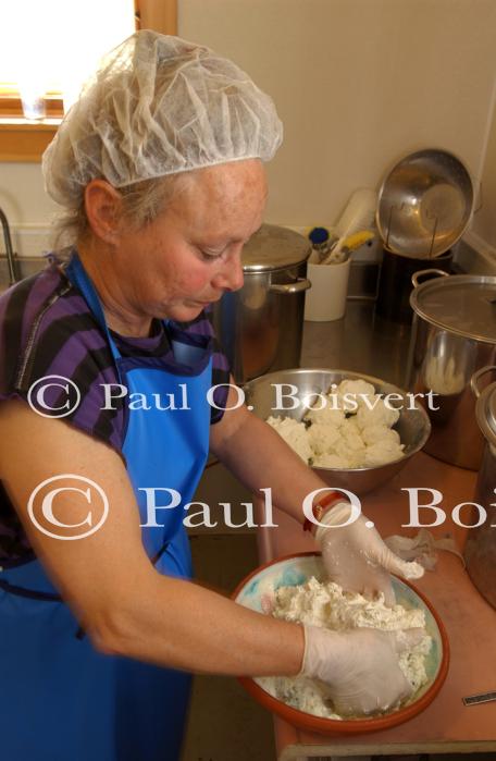 Cheese Making 30-08-01060