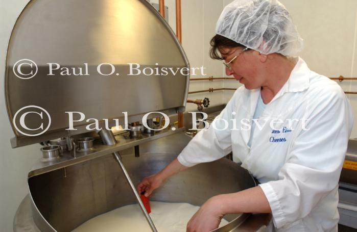 Cheese Making 30-08-01061
