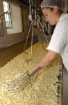 Cheese Making 30-08-01069